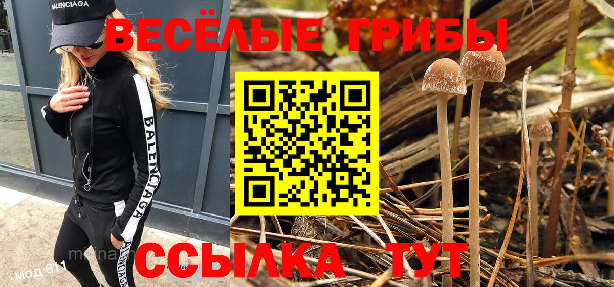 Владивосток  Псилоцибиновые грибы GOLDEN TEACHER  Вход с VPN 